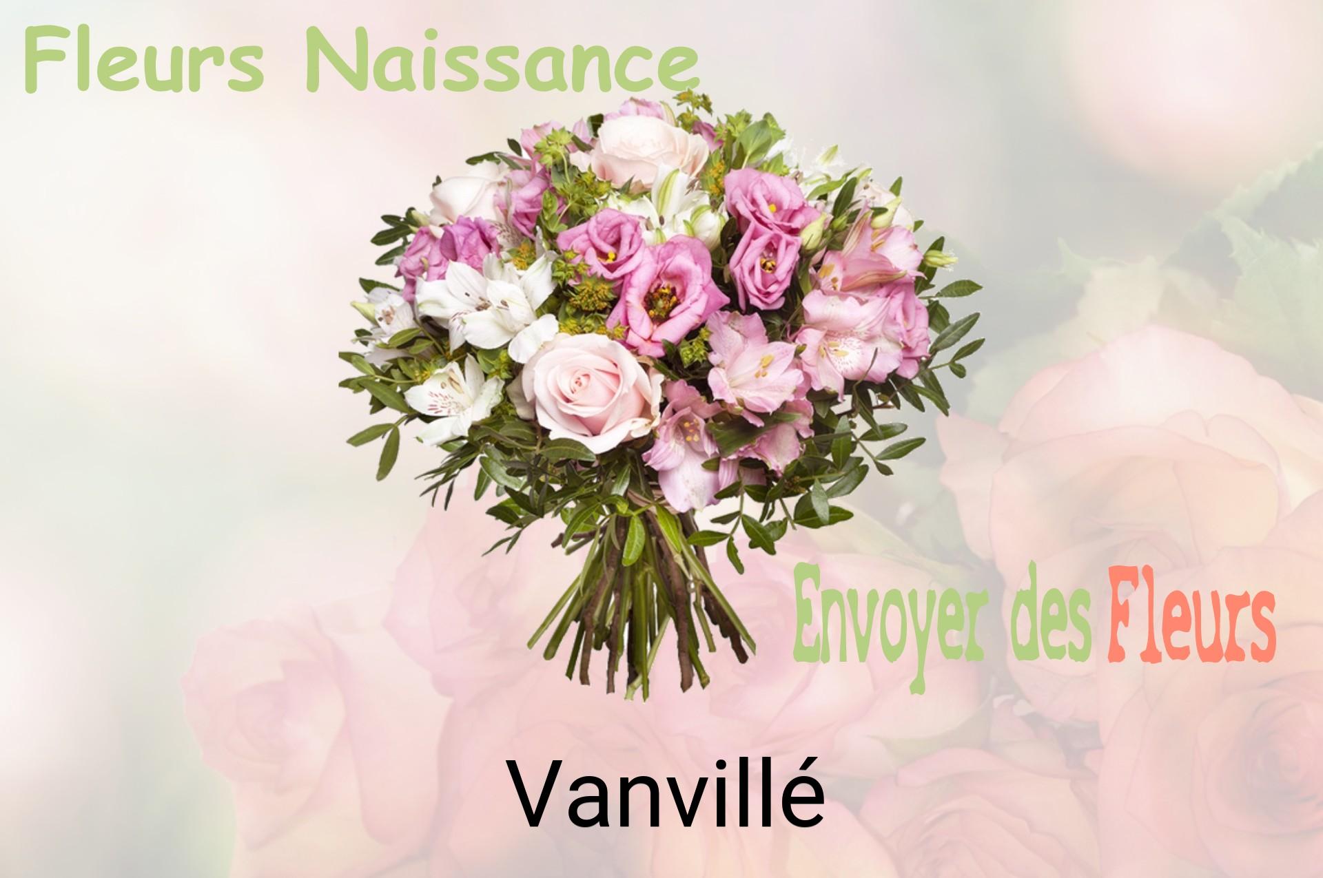 Bouquet de fleurs de naissance livré à Vanvillé